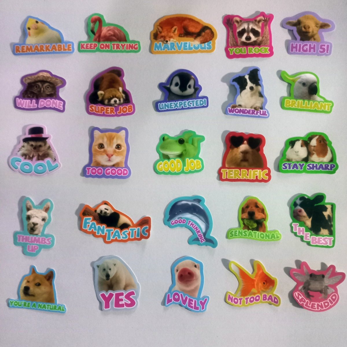 Pachet Stickere Încurajare cu Animale – 50 Stickere Motivaționale și Haioase - StickerJoy