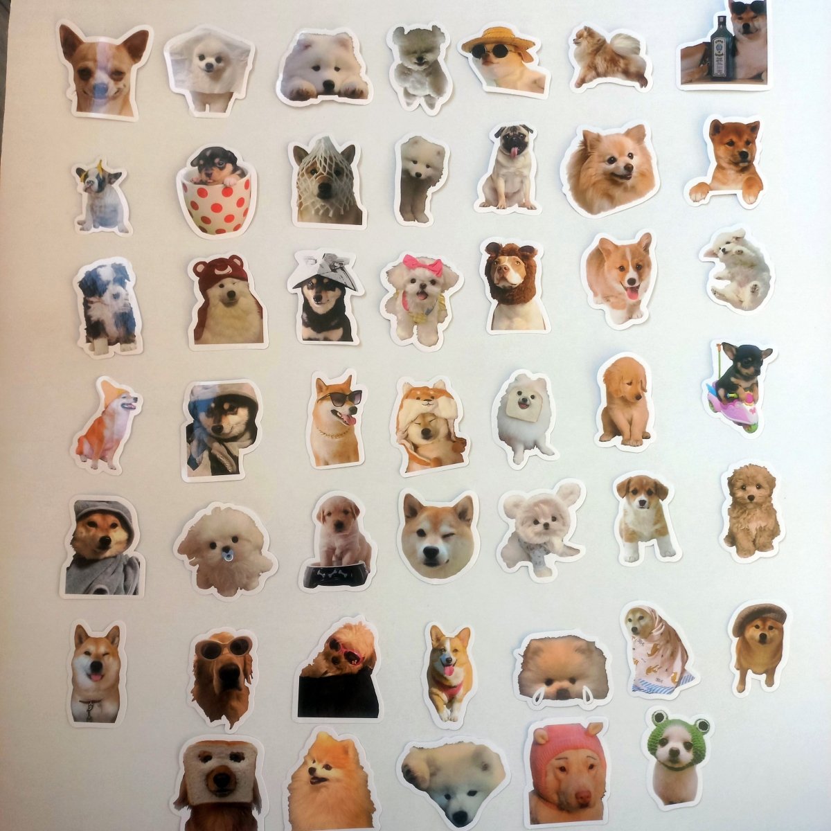 Set 100 Stickere Catelusi – Haioase, Dragalase și Pline de Personalitate - StickerJoy