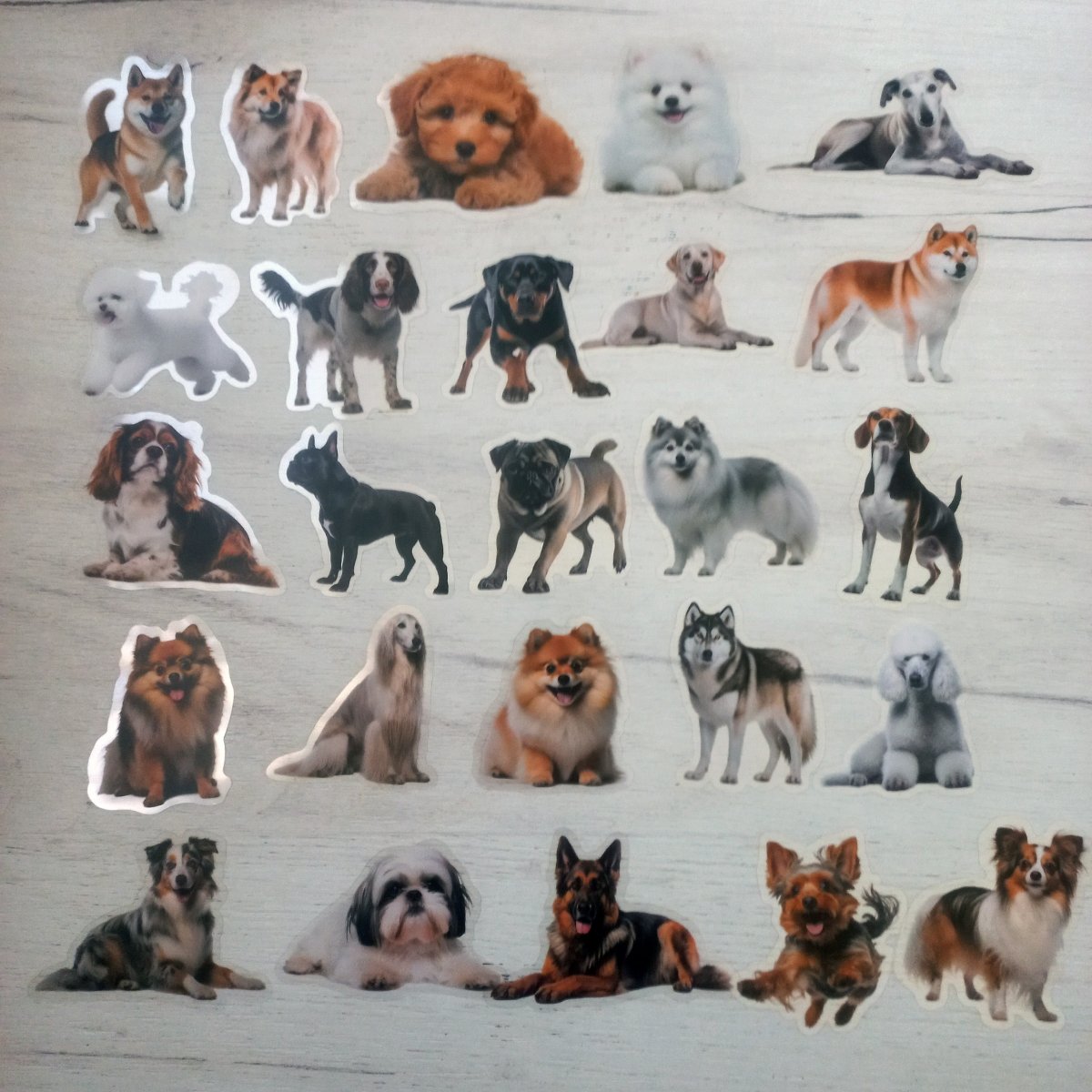 50 Stickere Câini – Rase de Câini Cute | Stickere Animale Premium Waterproof - StickerJoy