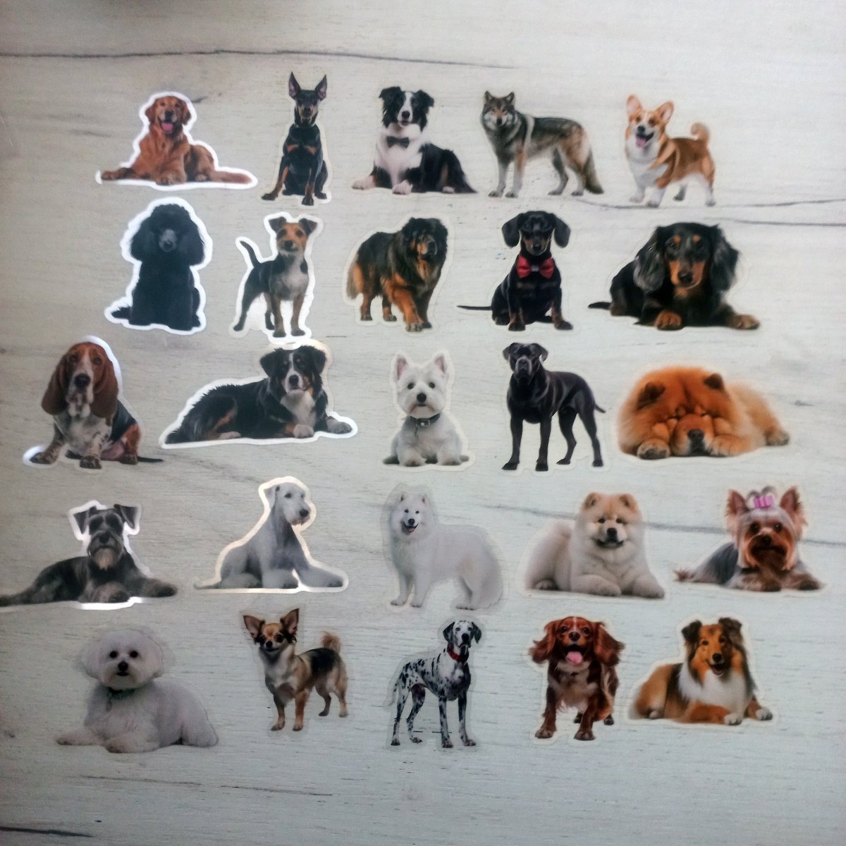 50 Stickere Câini – Rase de Câini Cute | Stickere Animale Premium Waterproof - StickerJoy