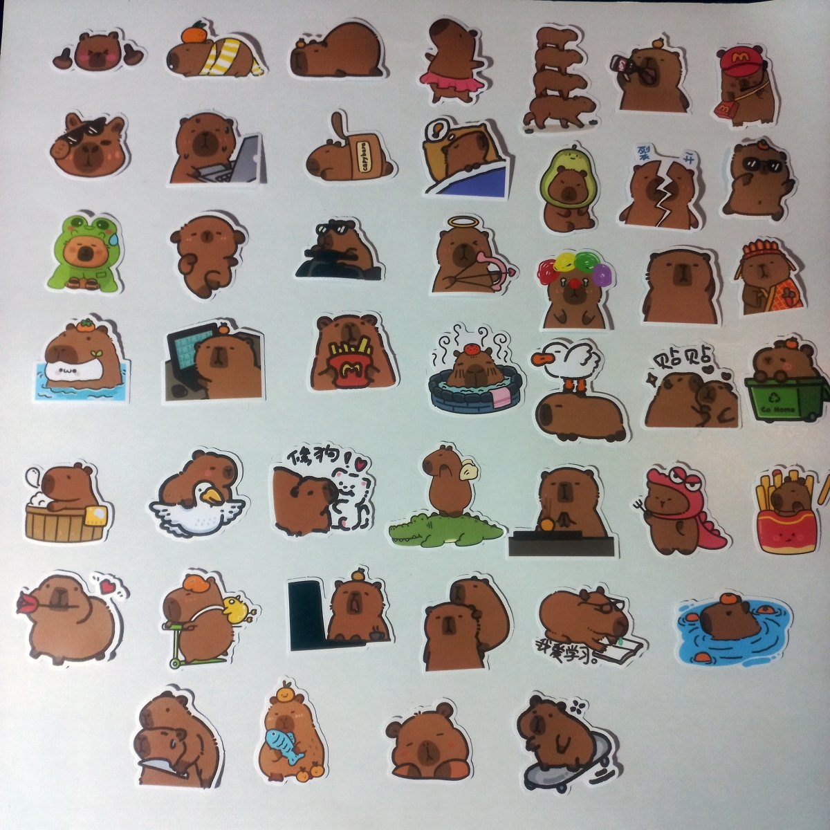 Pachet 100 Stickere Capybara – Cute, Funny & Chill Vibes - StickerJoy