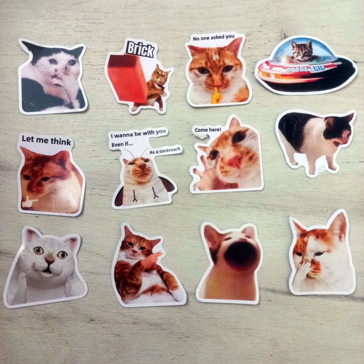 50 Stickere Pisici Amuzante – Funny Cat Meme Stickers | Stickere Premium - StickerJoy