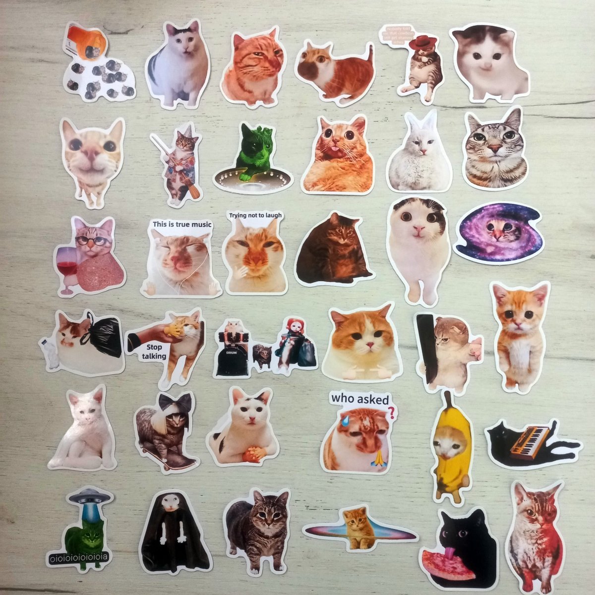50 Stickere Pisici Amuzante – Funny Cat Meme Stickers | Stickere Premium - StickerJoy